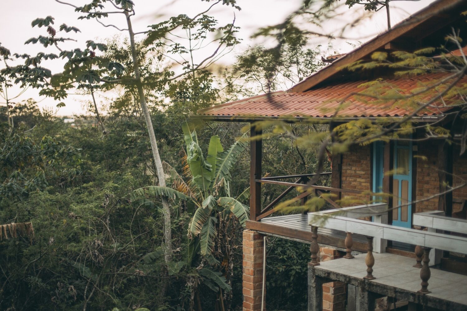 O Centro de Yoga Montanha Encantada entre as árvores